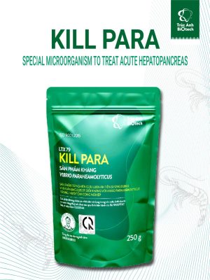 Kill Para